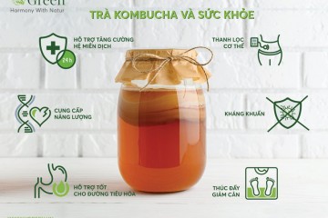 Cách Làm Con Giống Kombucha Tại Nhà Đơn Giản
