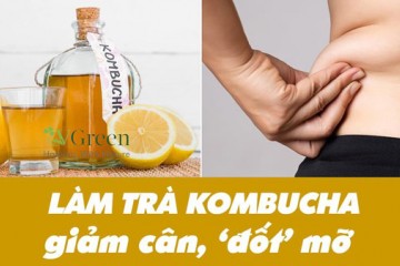 Cách uống Kombucha GIẢM CÂN của Nhật