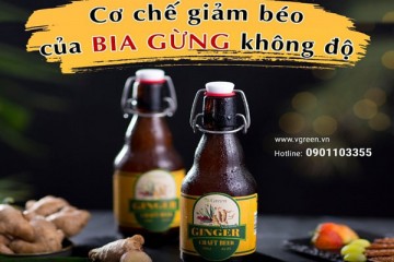 Cơ chế giảm béo của Bia gừng Không Độ VGreen