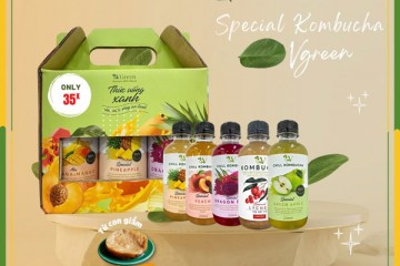 Hướng dẫn pha trà kombucha miễn phí cho người mới bắt đầu