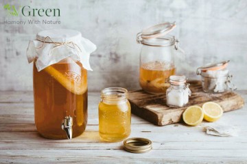 Kombucha bị mốc: Nguyên nhân và Cách xử lý