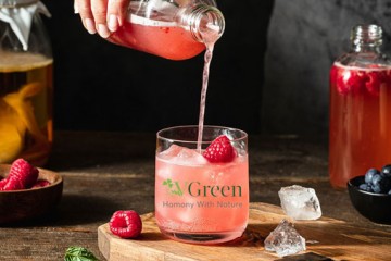 Kombucha health benefits | Lợi ích sức khỏe khi uống Kombucha