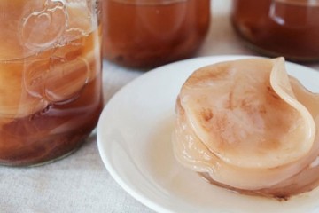 Kombucha là con gì? Những thú vị bất ngờ về kombucha