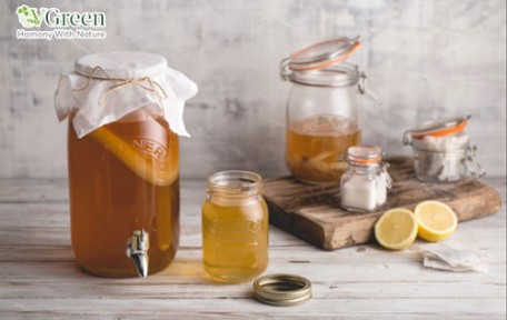 Kombucha Mật Ong thức uống NGON, TỐT cho sức khỏe