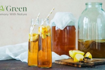 Kombucha mua ở đâu Uy tín - Chất lượng TỐT