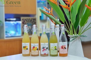 Làm Kombucha Mix trái cây thơm ngon giúp xua tan cái nóng mùa hè