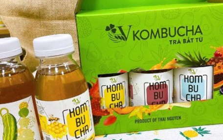 Trà kombucha đóng chai và những điều có thể bạn chưa biết