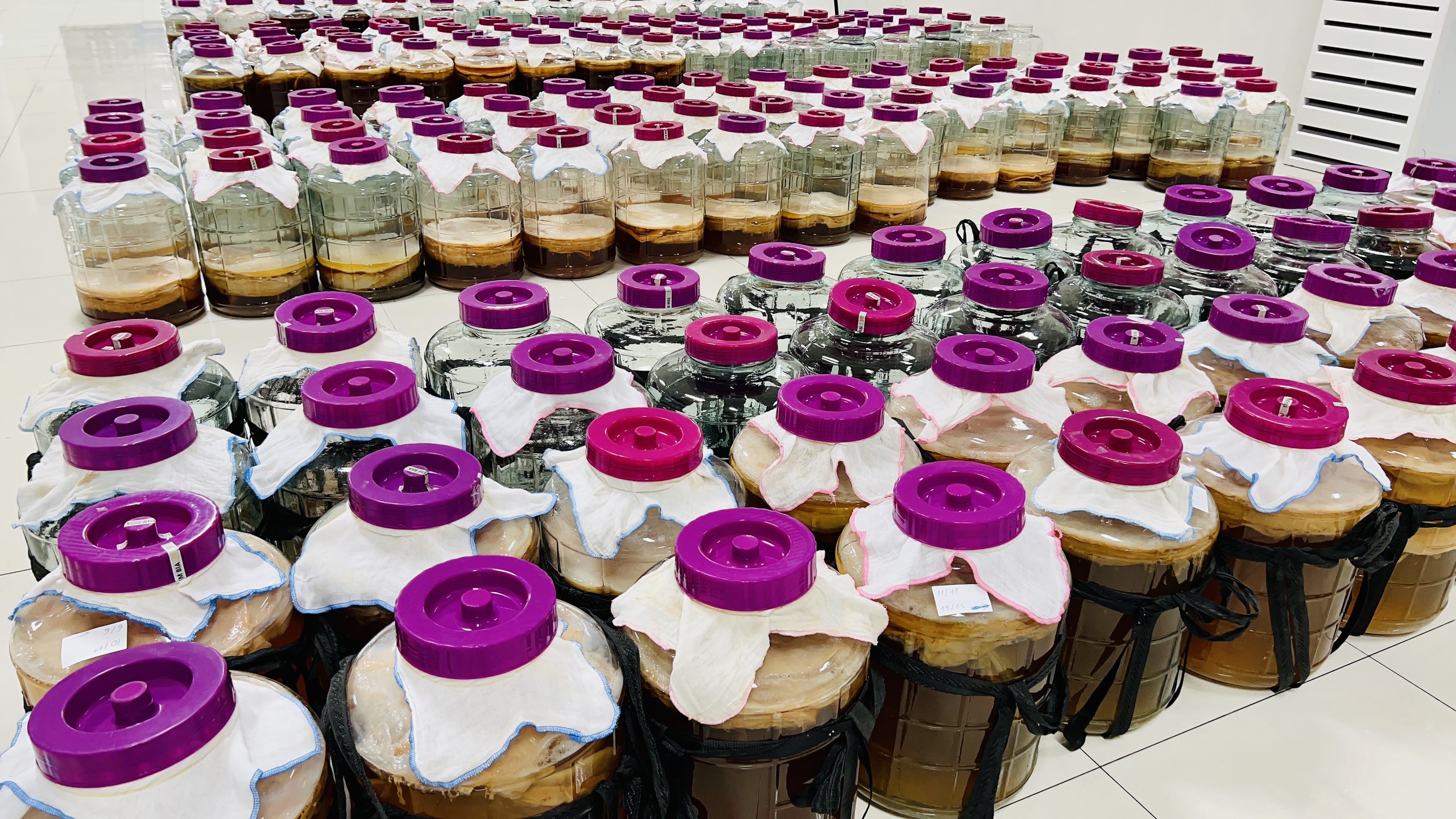 Xưởng nuôi nấm thủy sinh Scopy của Vgreen