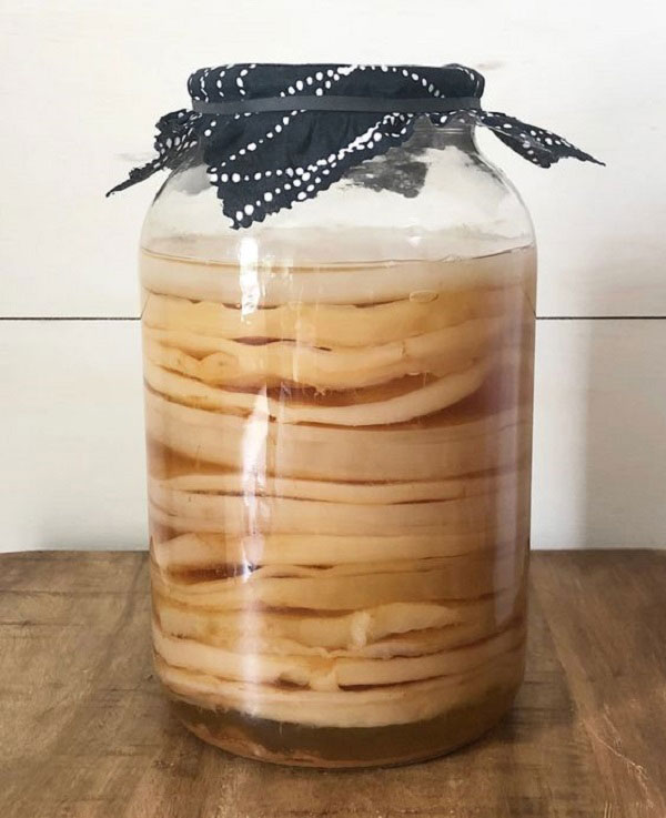 8 lợi ích dành cho sức khỏe của trà Kombucha
