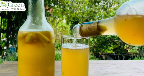 cách làm bia gừng tại nhà