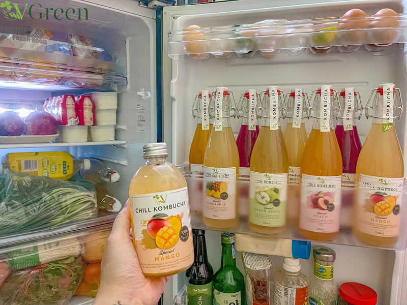 Cách làm con giống kombucha