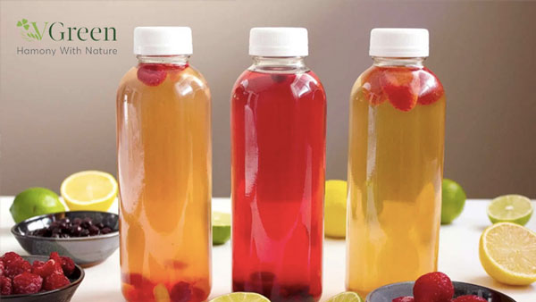 cách làm kombucha trái cây