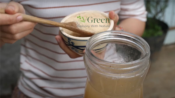 bước 2 thêm đường vào trà - cách làm kombucha trái cây