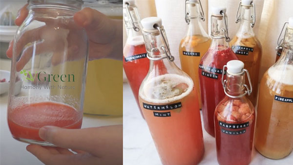 bước 5 pha trà cùng nước ép trái cây - cách làm kombucha trái cây