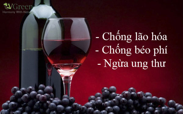 làm rượu nho bằng đường phèn