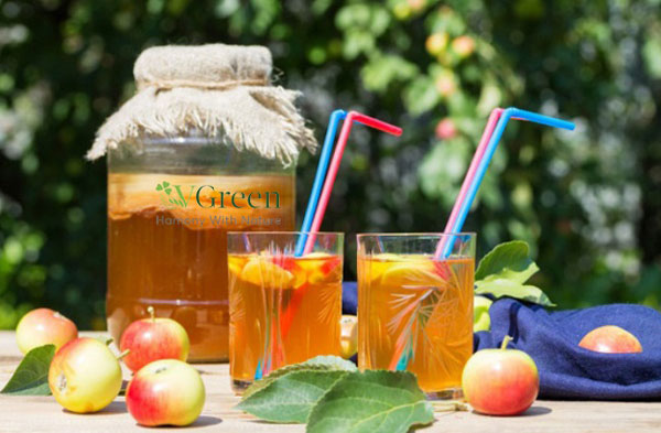 cách uống kombucha giảm cân