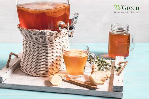 Công dụng của trà Kombucha