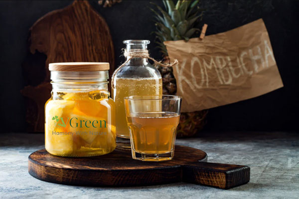 kombucha health benefits