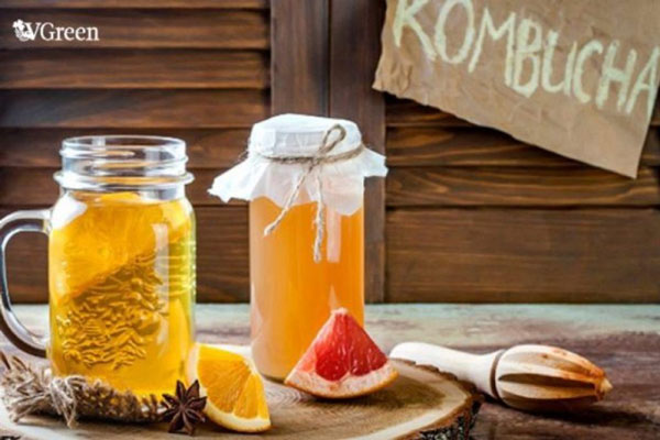 cách làm trà kombucha