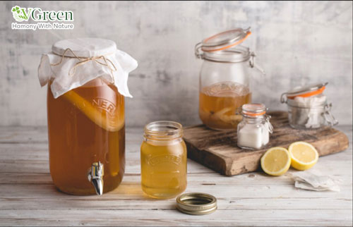 kombucha mật ong