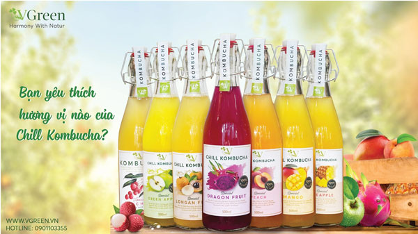 kombucha mua ở đâu