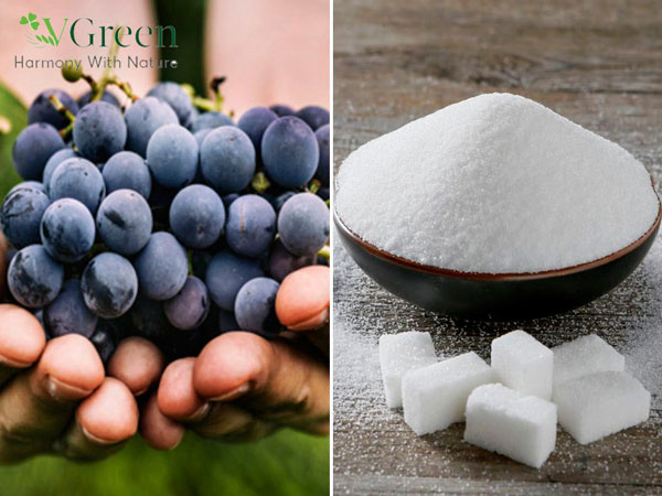 rượu nho làm như thế nào