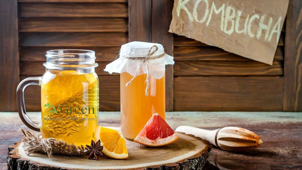 kombucha có cồn không