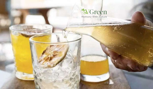 kombucha có cồn không