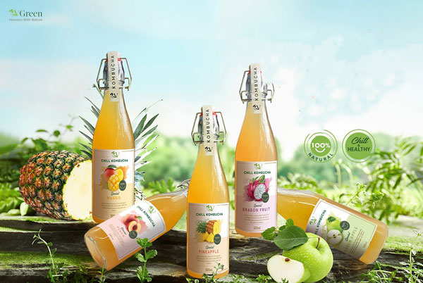 kombucha nguyên bản