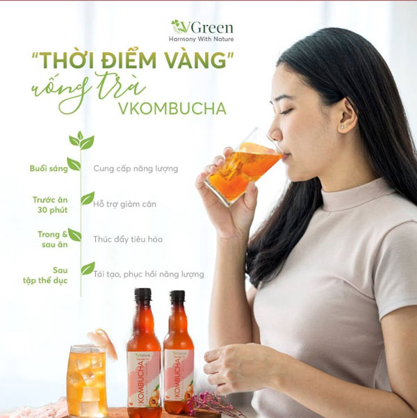 kombucha nguyên bản